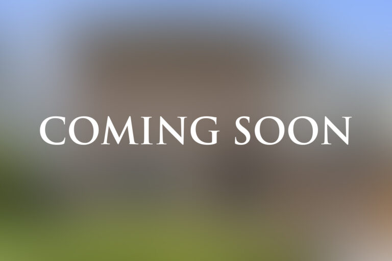 final_0000_COMING SOON