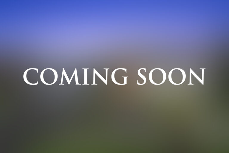 final_0002_Background