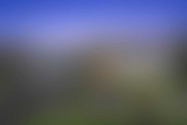 oblur_0001_Layer 1